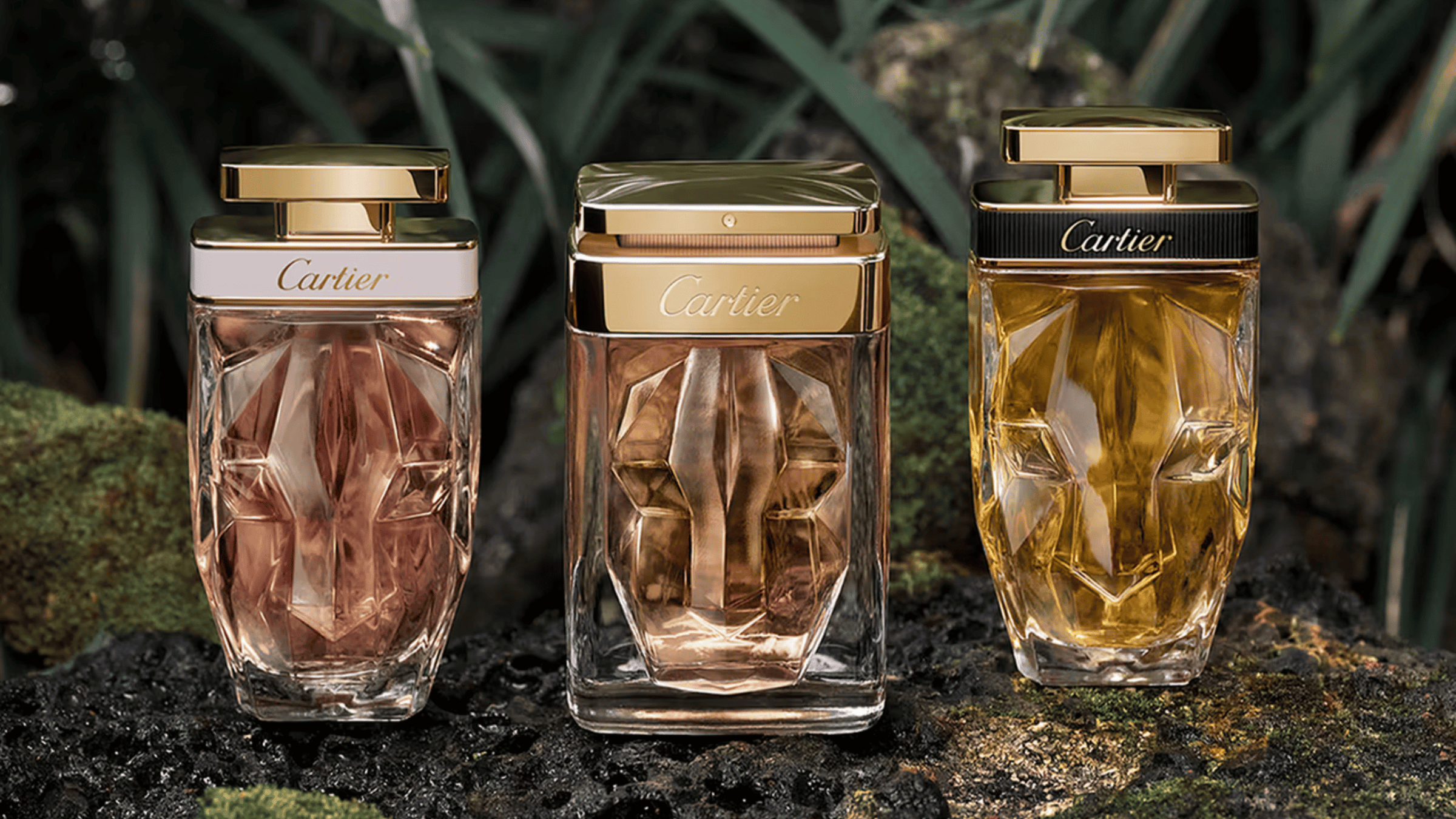 Tre Cartier parfymer på rad med en skog som bakgrund.